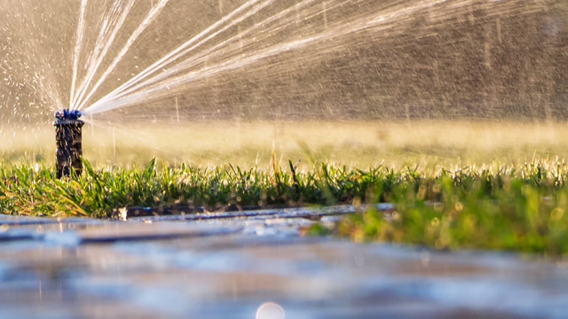 New Watering Recommendations for the Cooler Fall Season