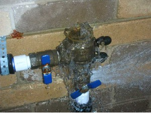 damaged backflow from freeze