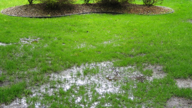 Find Out Why Your Drainage is Not Working Properly