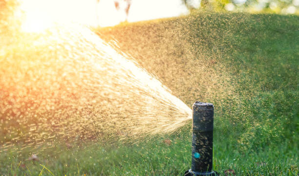 Summer Sprinkler Settings for Your Plants!