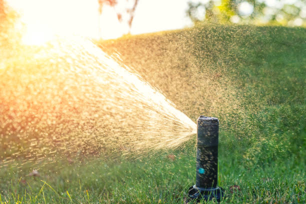 Summer Sprinkler Settings for Your Plants!