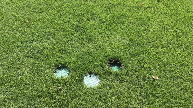 Where are your sprinkler valve boxes?